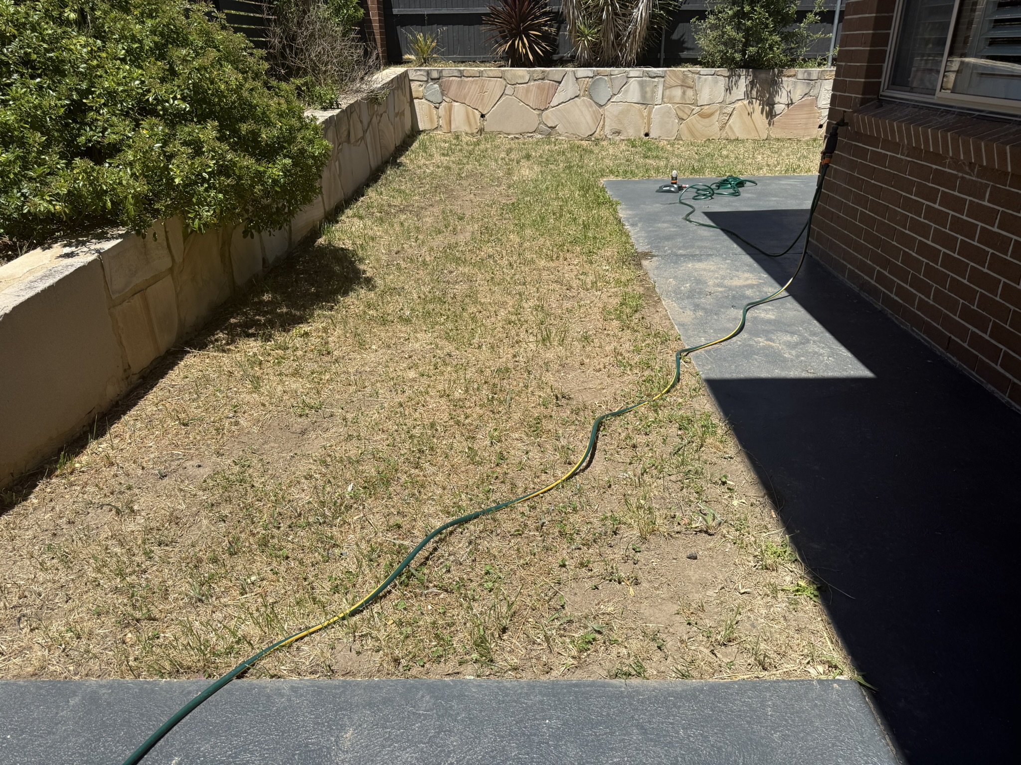 Beautiful lawn after renovation Canberra