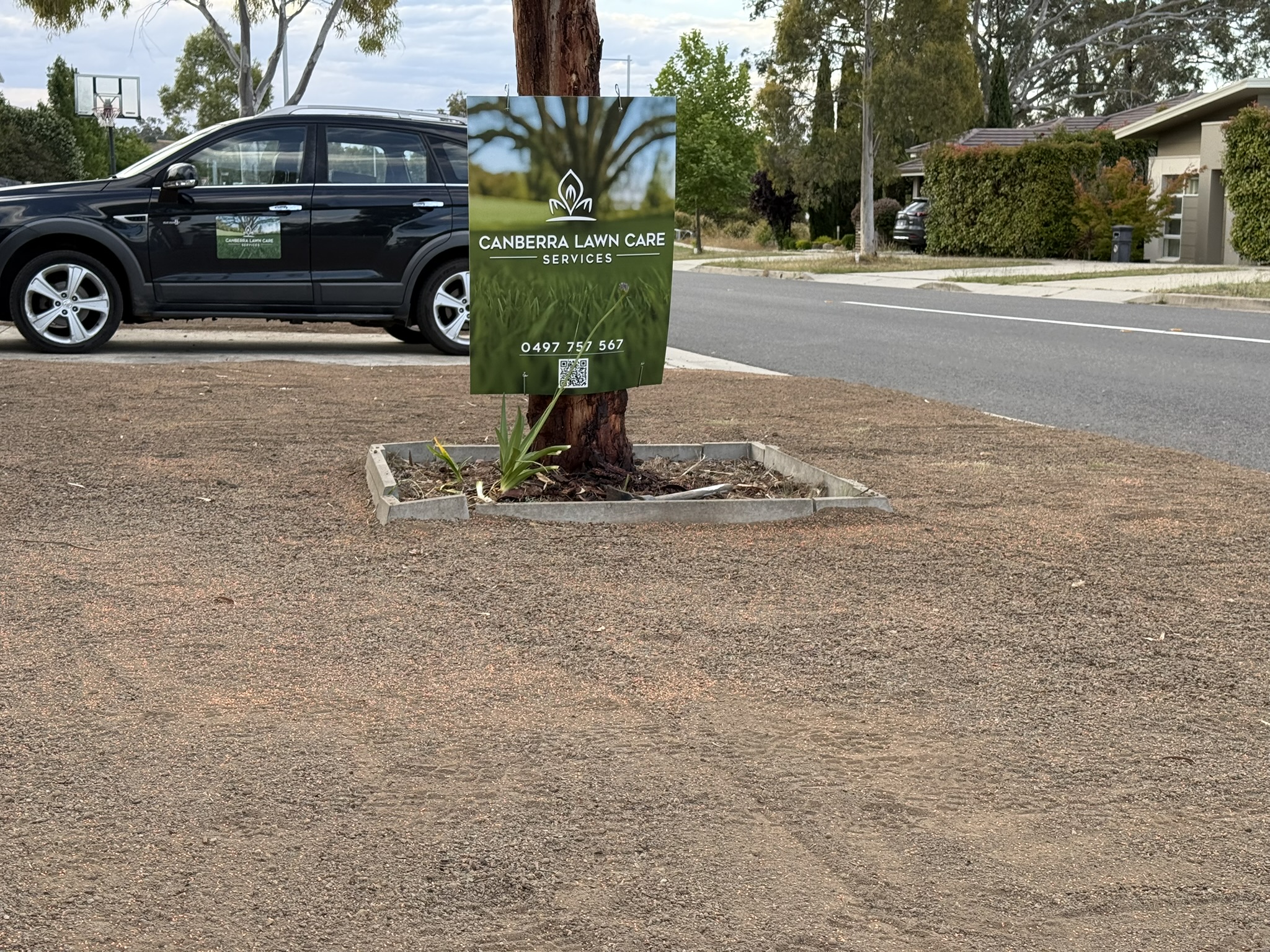 Professional lawn mowing result in Canberra