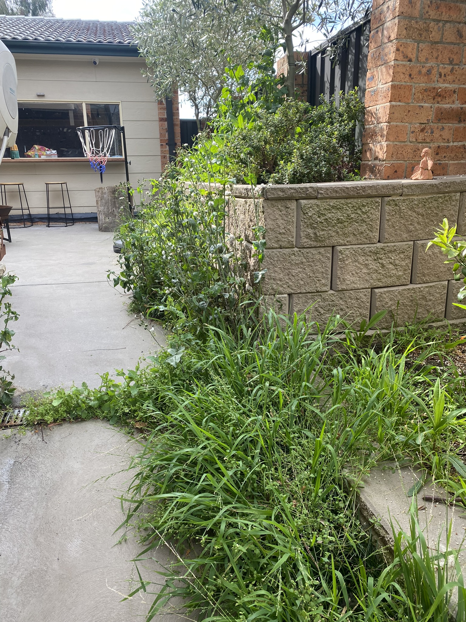 Weeding Before and After