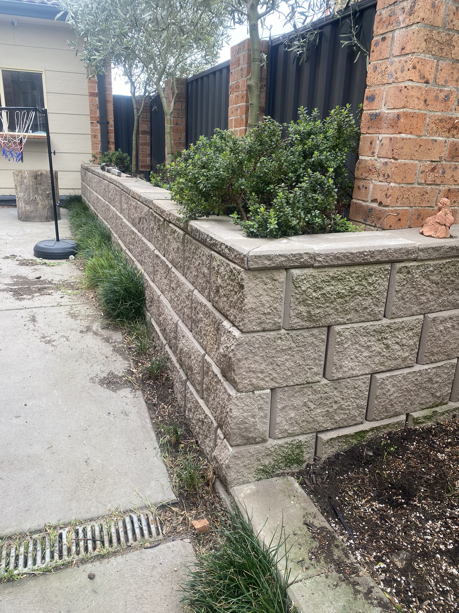 Clean garden after professional weeding Canberra